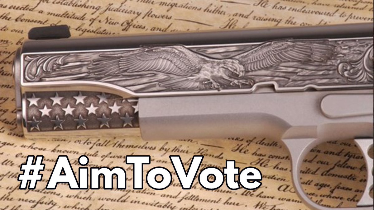GunWashington's tweet photo. Everything needs to change, but 10,000,000 gun owners and hunters are NOT REGISTERED to vote!!!  Time for all of you to get some skin in the game.  Register to vote right now at https://t.co/QBW6UUKOJ1 #AimToVote https://t.co/US2Z3YhHoP