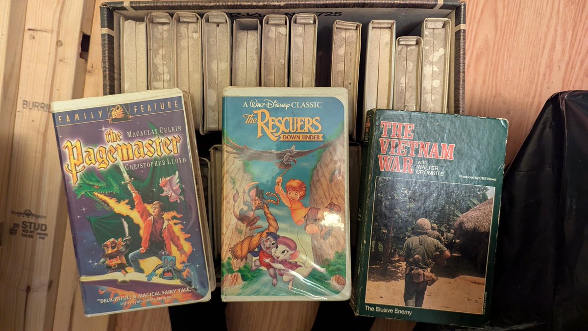 Julia Lepetit Wants You to Vote tweet media