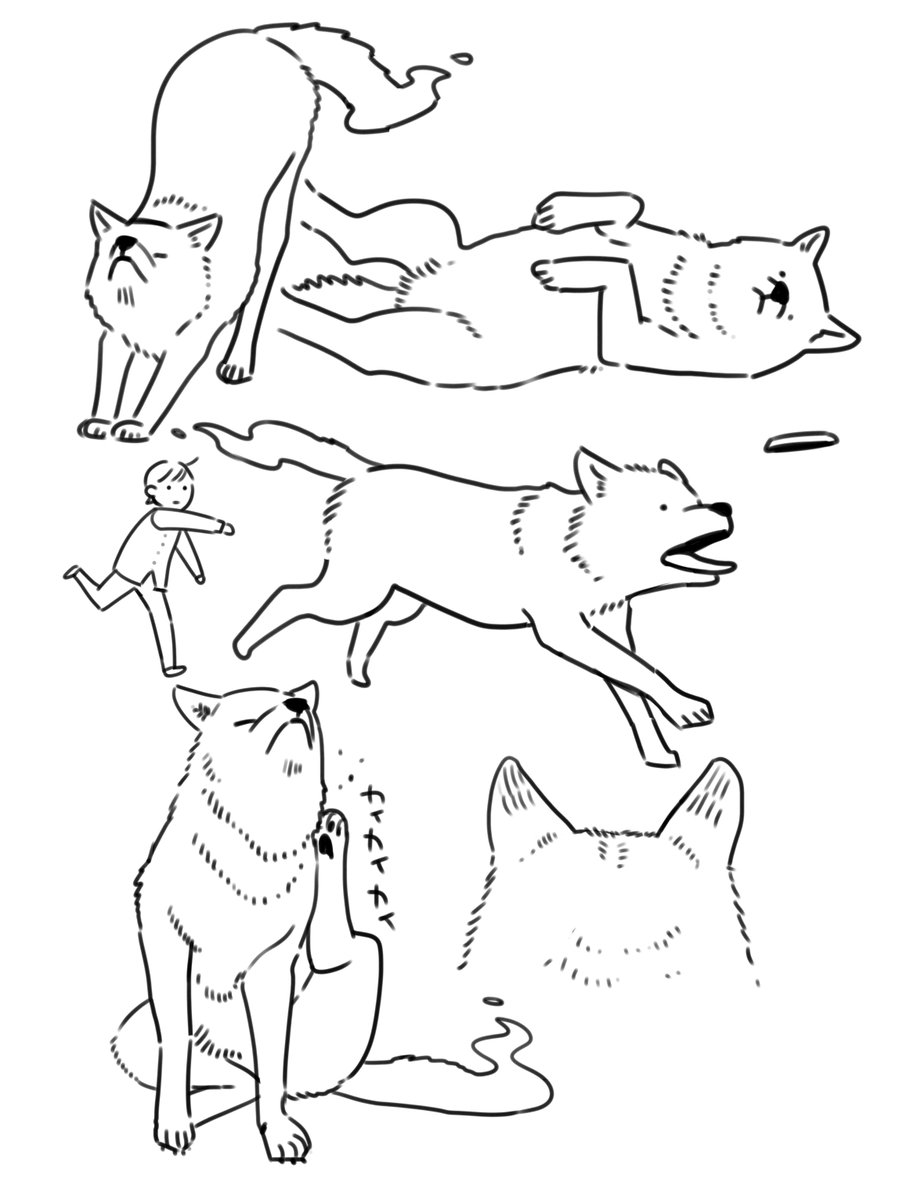 犬のよさ 