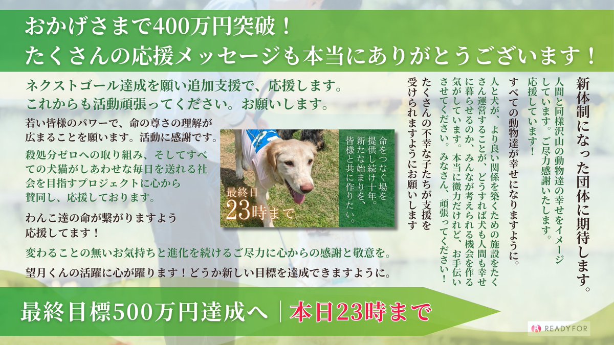 partnerdogtown's tweet photo. 【拡散のご協力！！】
クラファン本日23時までとなります！

創業者”柳原”が積み上げてきた10年間の集大成と新理事長”望月”が未来のパートナードッグタウンへの期待

この想いが重なっているプロジェクトです

最後の追い上げ！リポストの拡散のご協力よろしくお願いします！

https://t.co/BAewBOtHEK https://t.co/j0F7m19yQr