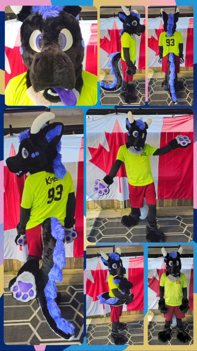 FOR SALE!!!!!

You all have voted, and here is our winner to be shown off first.

The Black/Purple Suit itself. 
A lovely Dragon suit with a long tail that squeaks and 2 different tongue lengths.

this suit will be for sale at <a href="/canFURence/">CanFURence: Furries of the Wastes</a> in the Dealers Den!

#canfur2024 #Fursuit