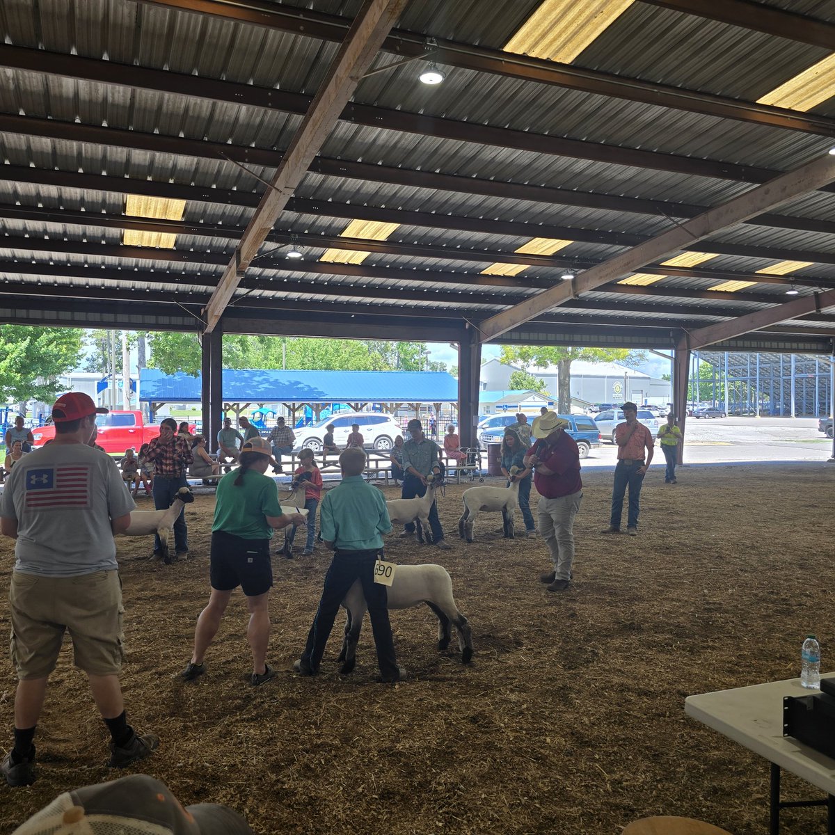CovFFA's tweet photo. A very very very lovely day for the Level 5 @CovFFA at the 2024 South Central District Expo at Lawerenceburg.  The group is making moves and working as a team, and we are extremely excited for this fall! 3 Grand Champions and 2 Reserve Champions! #woocrew #endlesspossibilities https://t.co/7siM4RwSFP