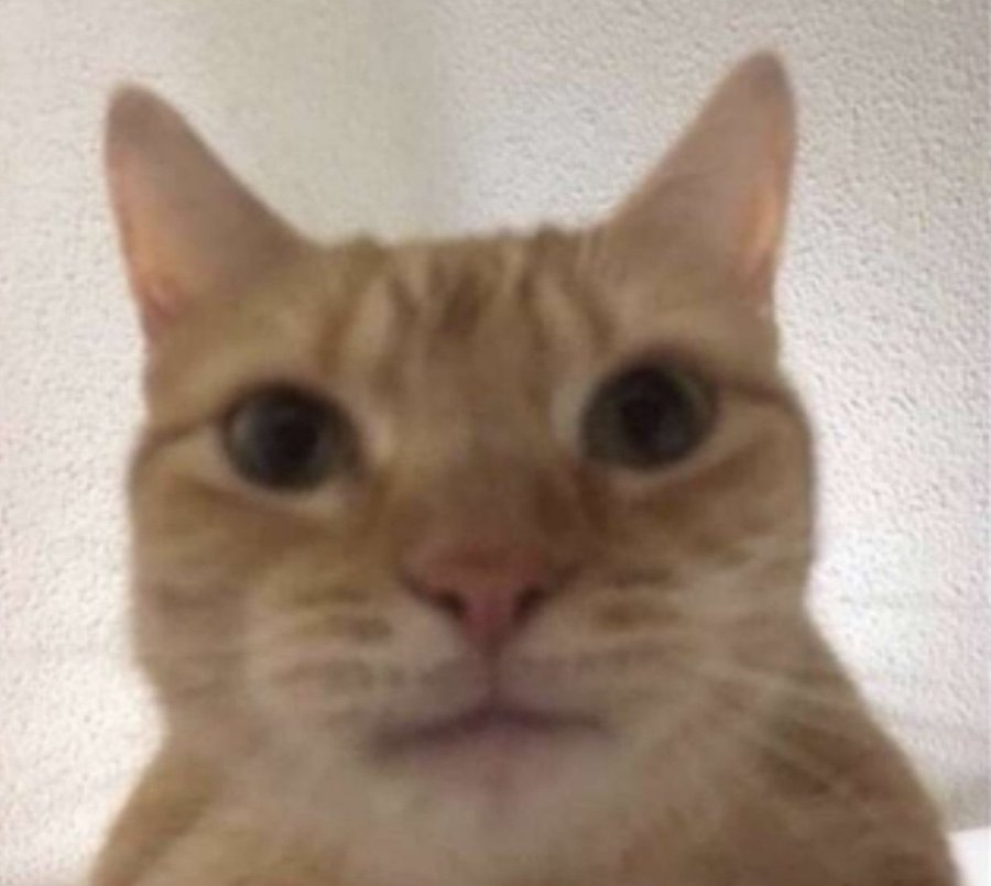 MeowPium's tweet photo. @ricardoalcarazp mi honesta reaccion cuando vi que no puedo comentar un stream de richi por no seguirlo un dia antes (me faltan 19 horas 44 minutos para ser seguidora) https://t.co/a80txoBJM3