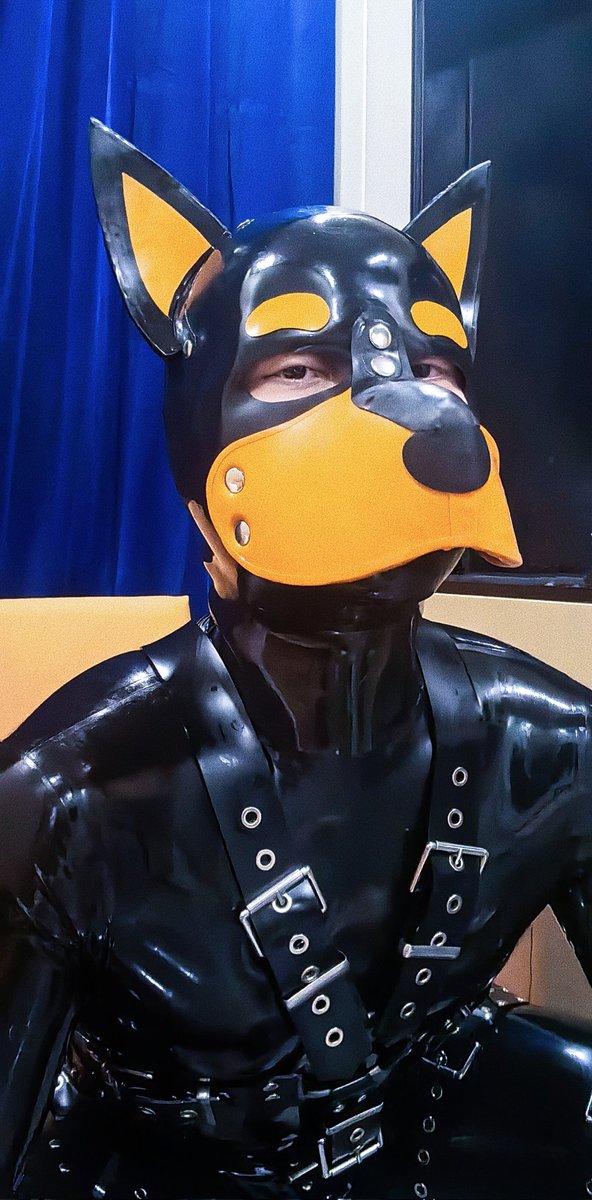 因为身材管理太差而不更新的博主
终于更新了！