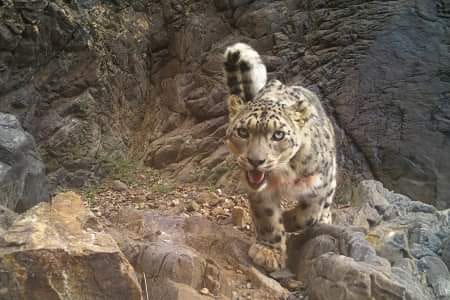 We are moving out headquarters to the WCN offices at 209 Mississippi Street, San Francisco, CA, 94107 in August!

Photo: Claudio Augugliaro