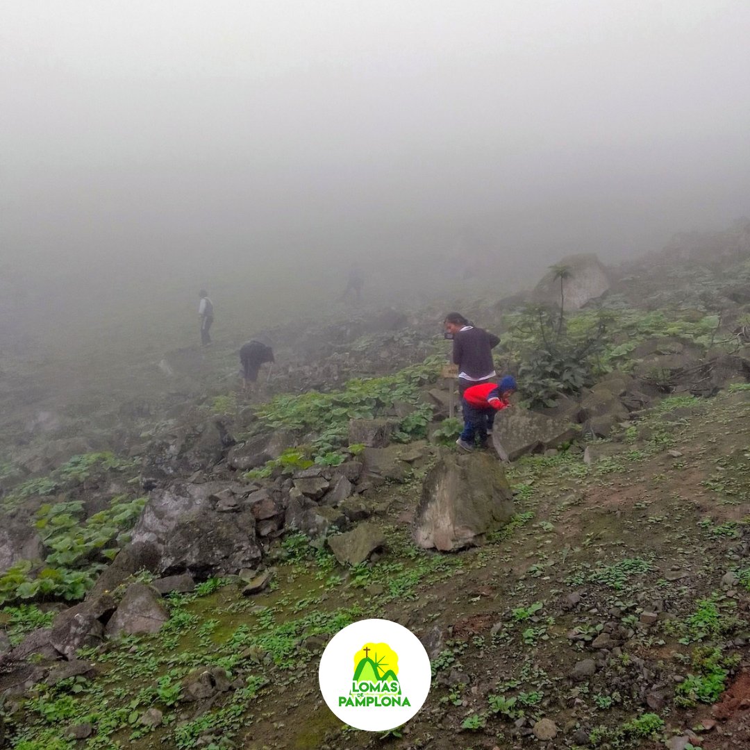 Una jornada estupenda.

Hoy recibimos la grata visita de nuestra amiga y aliada Teresa Pereira quien continúa con la producción del documental "En las lomas de Lima". 🎬

Conoce más sobre su documental ingresando al siguiente link: teresapereira.net/lomasdelima ☘️

#SalvemosLasLomas 💚