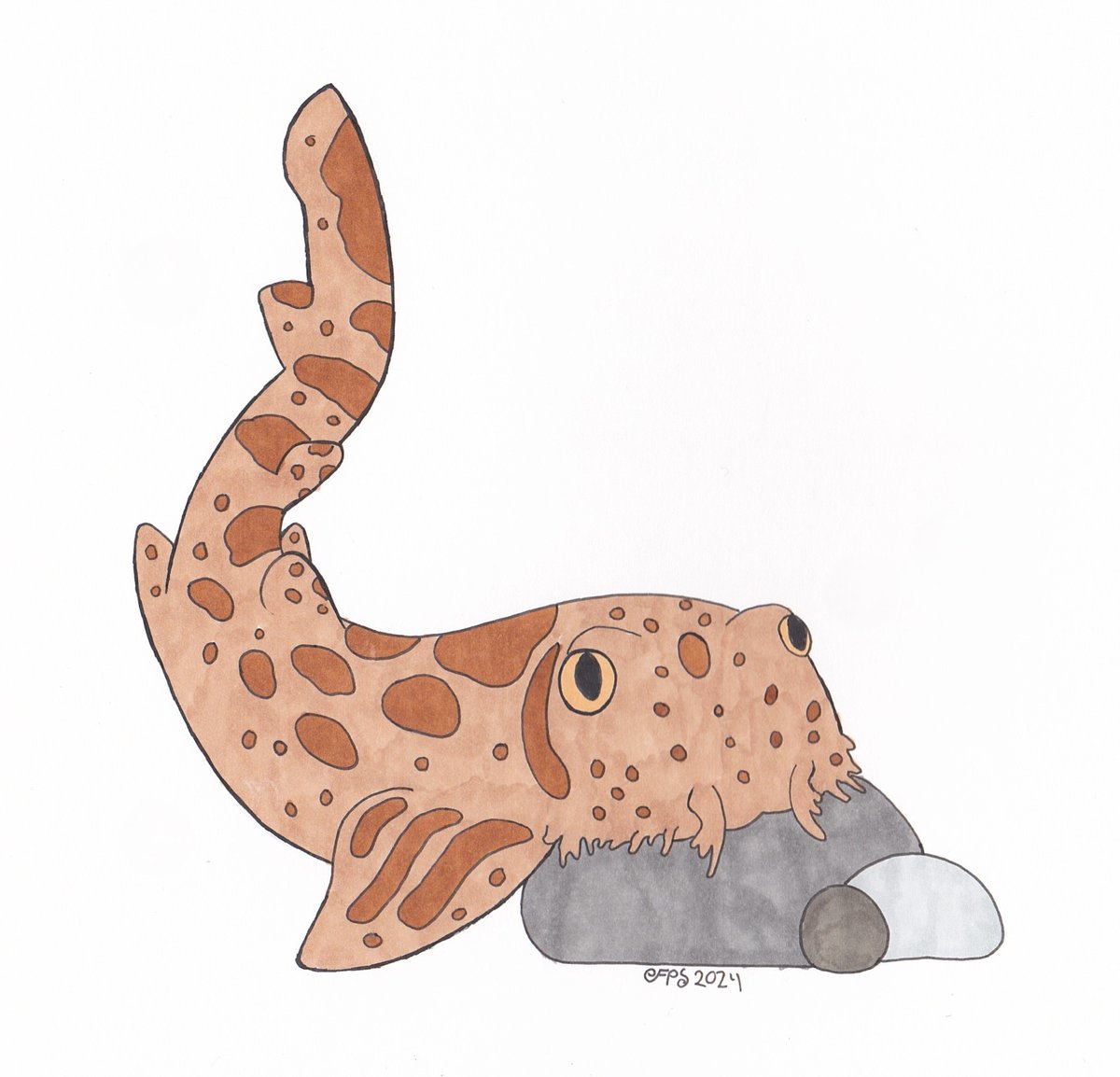 Day 5 of #sharkweeksketchjam : The Spotted Wobbegong! 

<a href="/sharksketchjam/">✨Shark Week Sketch Jam🦈</a>