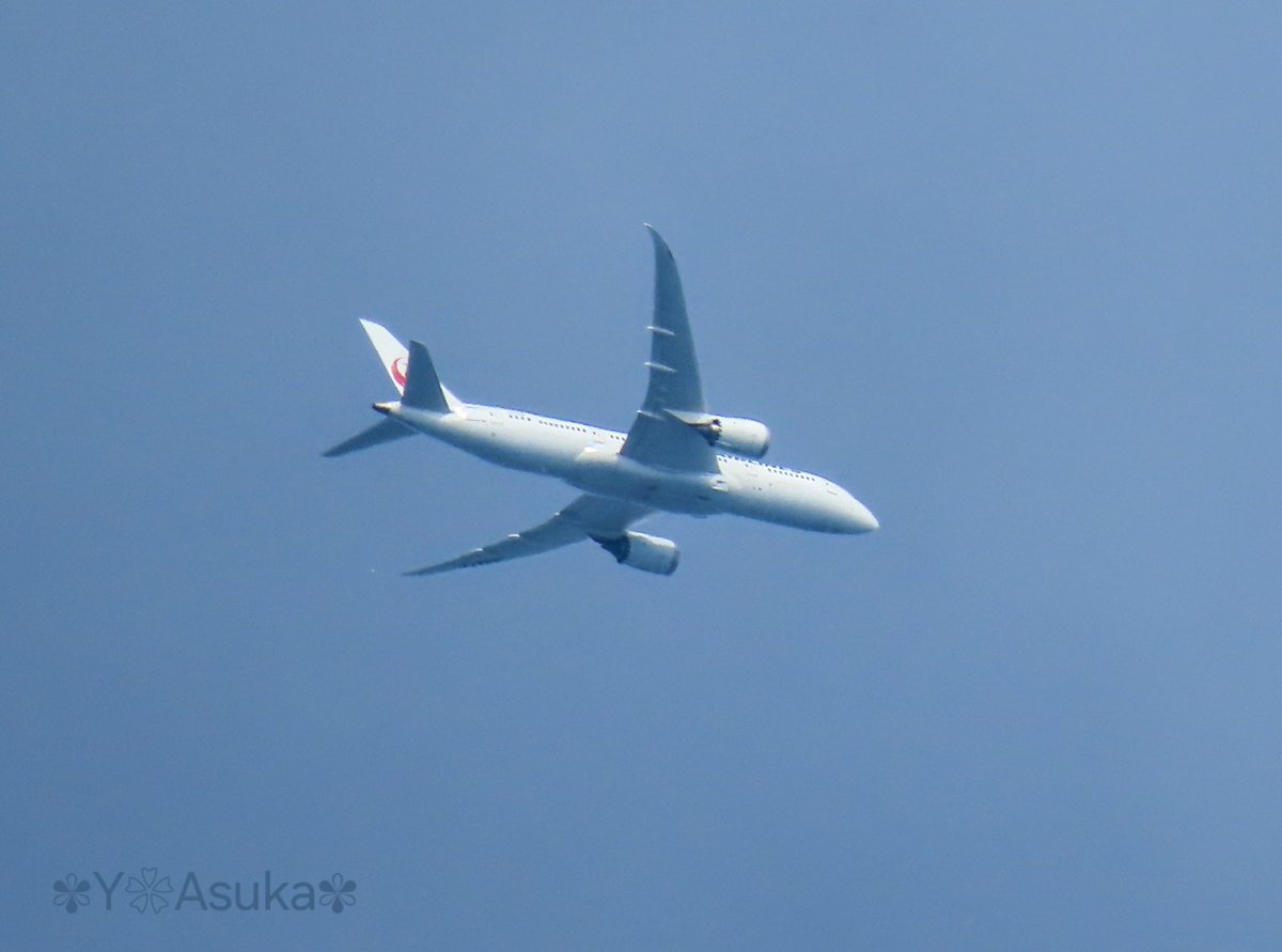 yumeasutw's tweet photo. #薄雲 が広がる白っぽい朝空を
新���歳空港を目指し
悠々と飛び行く #飛行機 ✈️
あっという間に空の彼方へ🤍
#JAL #ボーイング
#B787_8D
#飛行機 #airplane #飛行機が好き #飛行機が好きな人と繋がりたい
#空の名前
#a2024 #a0731 #a202407 #a2024075 https://t.co/NqoqONNRVg