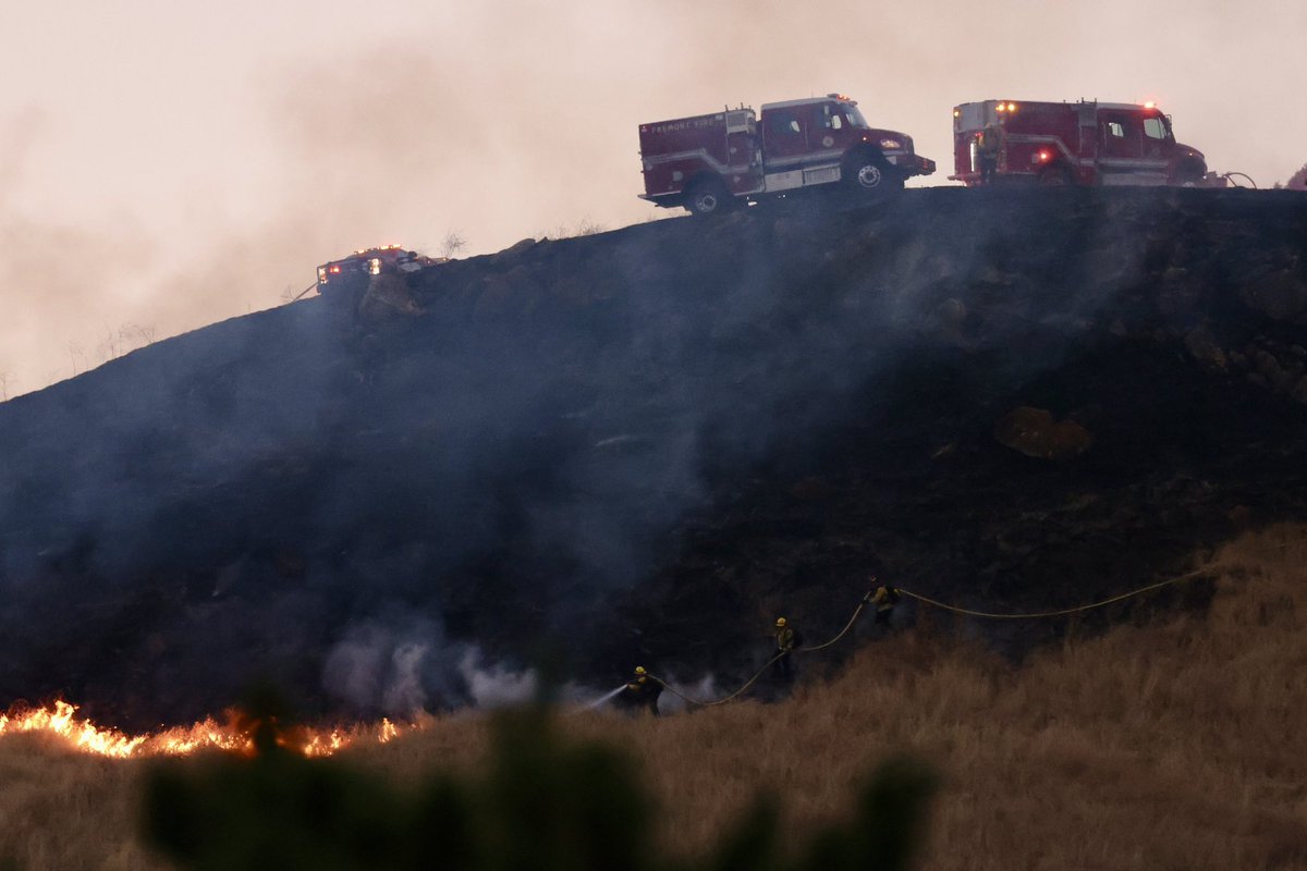 Friedrich Fauser tweet media