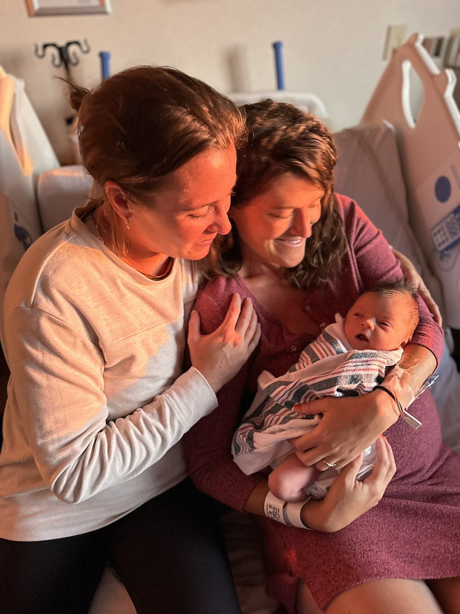 Lulu Miller tweet media