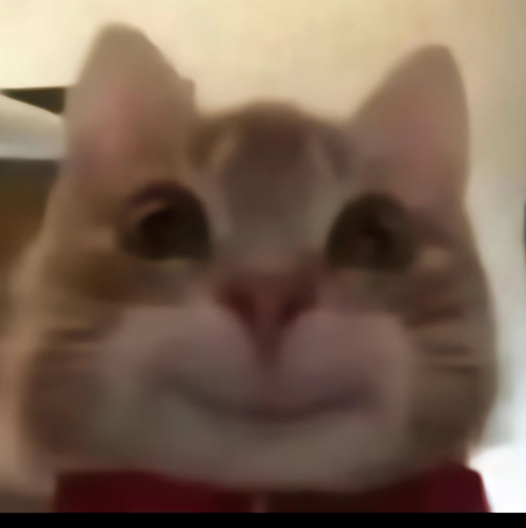 良心收藏家 tweet media