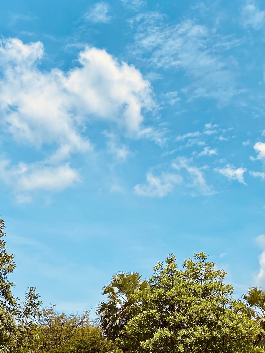 Perhaps
The easiest way out
Is to remain silent 
And let the silence 
Do all the talking 

#poem #poetry #writing