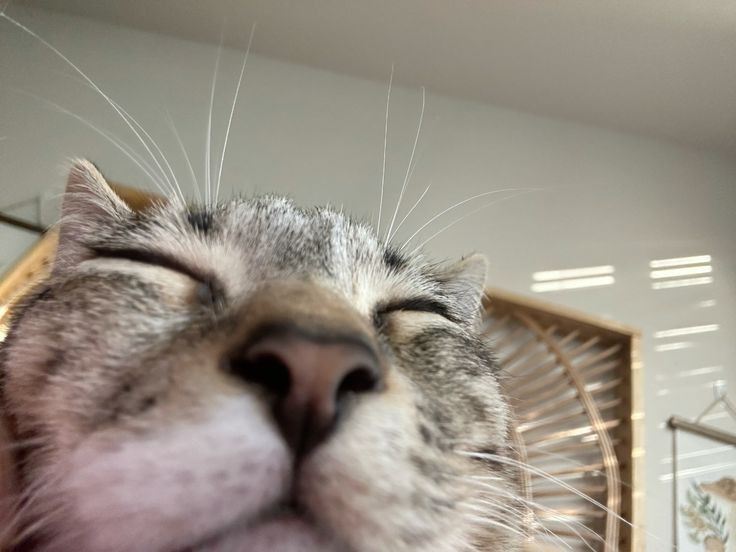 𝖘𝐞𝐜𝐨𝐧𝐝 𝐬͟𝐭͟𝐨͟𝐫͟𝐦. tweet media