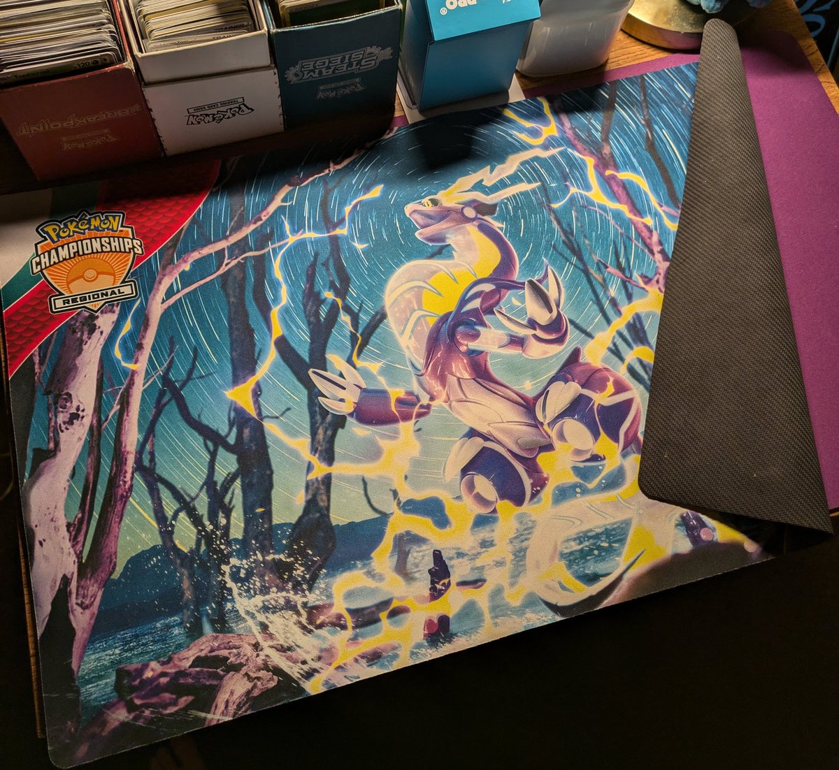 twhitesell42's tweet photo. giving away this miraidon regionals mat! RT and follow to be entered and i will choose a winner on 8/3. https://t.co/vSEwIQInCd