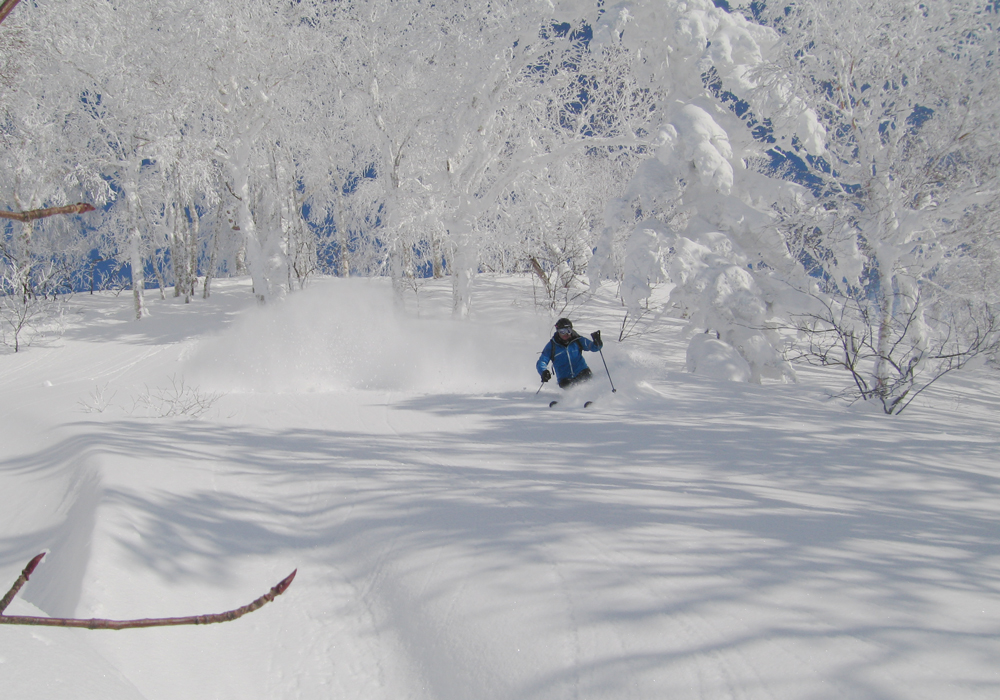 powderhounds1's tweet photo. We often get asked about the best ski resort for chasing the highly renowned Japow, yet if you're truly a powder hound you'll want to think about road tripping around a powder region or two, rather than just a single ski area.
https://t.co/FwJccEwRUb https://t.co/M81ymWtJUJ
