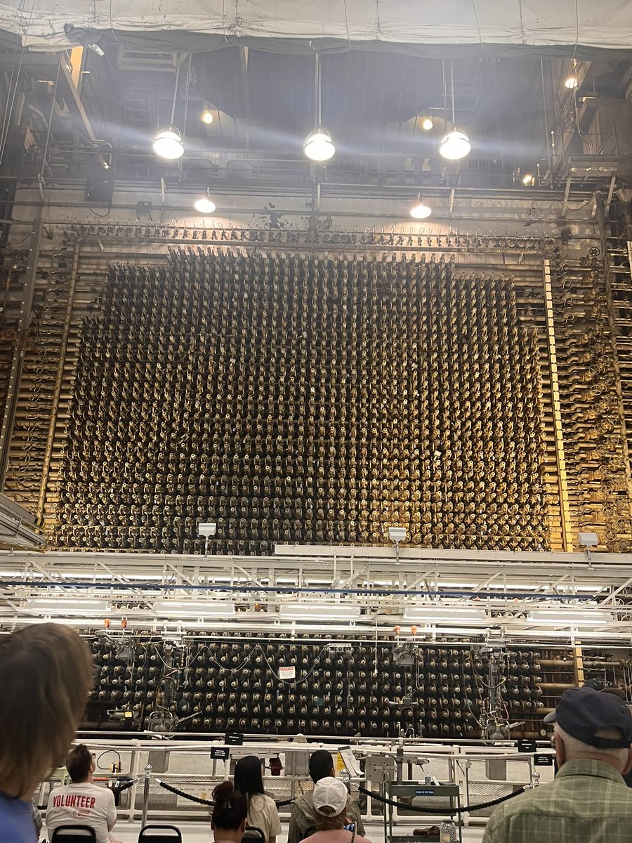 Roberta R. Rodrigues 🇧🇷🇺🇸 tweet media