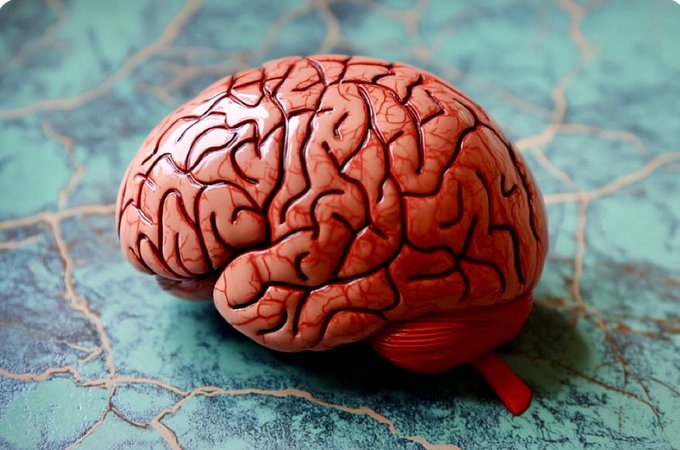 🧠 Brain #Blood #Vessels Key to Combating #Cognitive Decline Source: @penn_state #Neuroscience #Neurology #Alzheimers Posted by @enilev