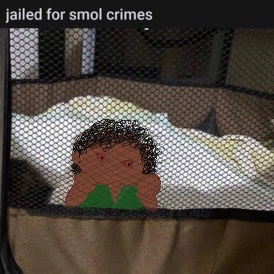 backwardsuwu's tweet image. daniel! beloved, wake up!!! daniel, the children have made memes about me… why would they do this?? what entertainment is there to call me a “shitten”… do not laugh!! answer my question! …is…is my head that large daniel?