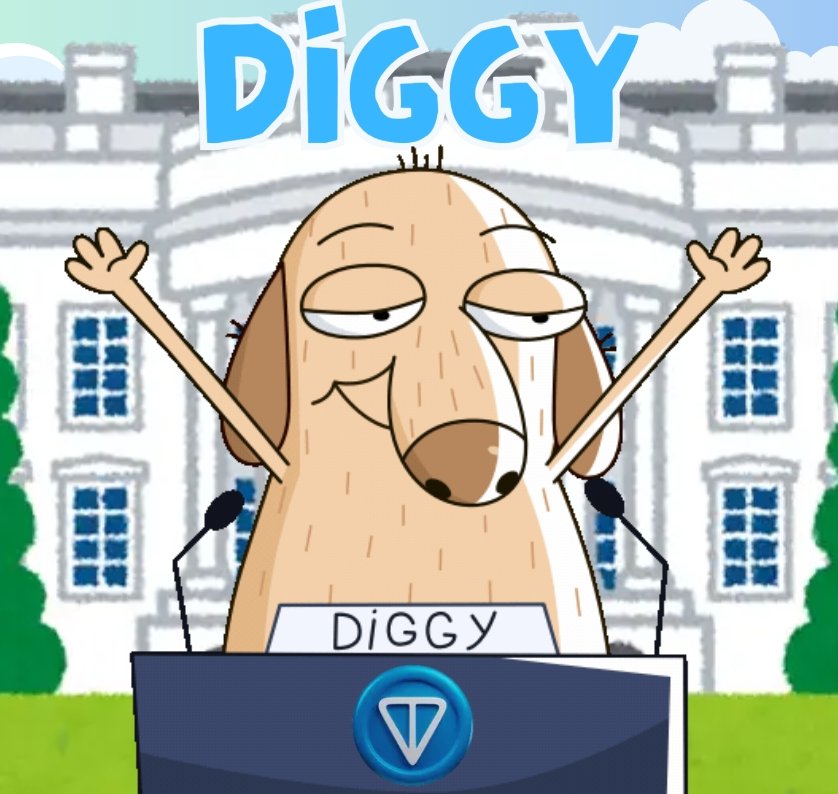 Diggy tweet media