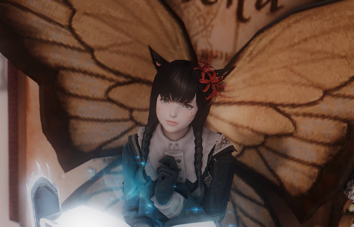 부대원이랑 가서 어디 스샷 컨하인지 모르겠다