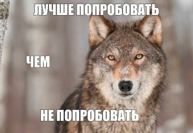 tinkwinchester's tweet image. "Ваши переживания важны!" – это не просто слова, а принцип моей работы как психолога. 
Я 🏳️‍🌈🏳️‍⚧️френдли и готов поддержать вас в любых вопросах.
С 1 сентября 1000 руб/50 мин, сейчас - 700руб

Не упустите возможность позаботиться о себе. ТГ⏬ для записи! #психология #здоровье #ЛГБТК