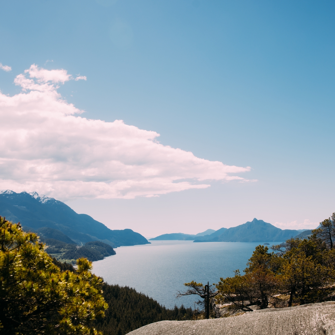 【Burtonストアの夏休み！】
8月5日(月)から8月9日(金)の5日間、下記Burtonストアは夏休みとなります。
Burton Flagship Tokyo / Sapporo / Nagano / Osaka、Burton Store Yokohama
burton.com/blogs/news/202…