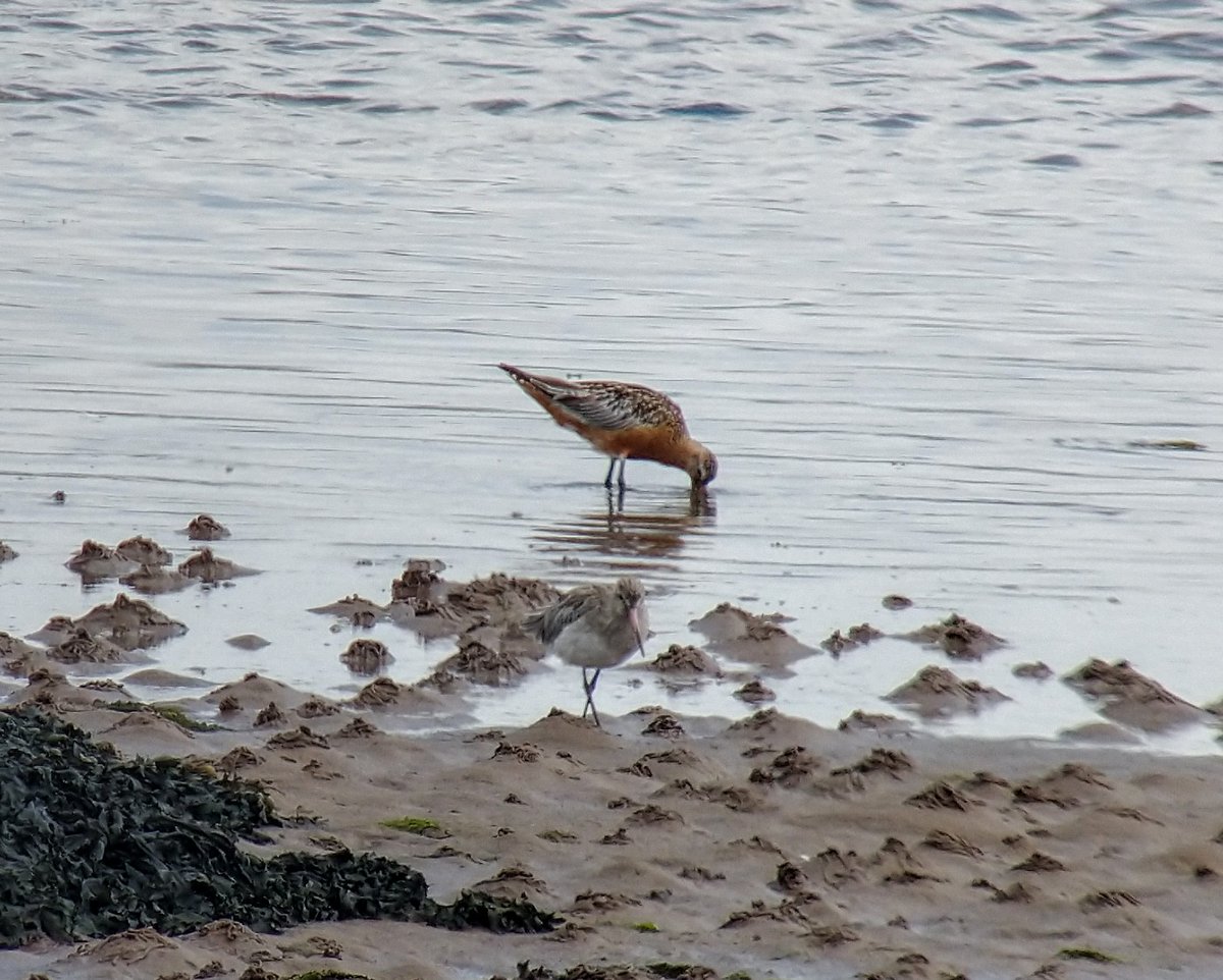 Andrew James tweet media