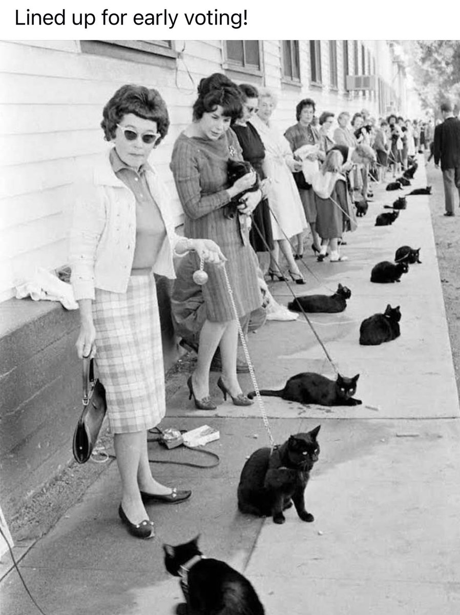 Samantha Mehlinger (@sammehlinger) on Twitter photo 