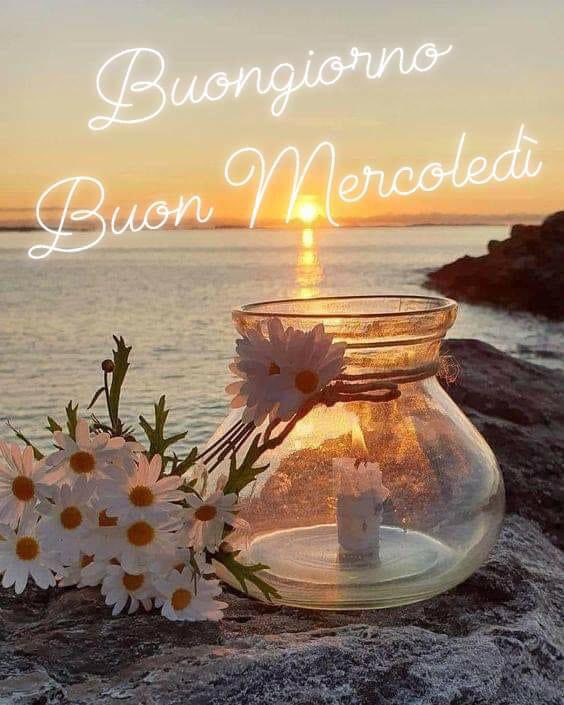 RITABIANCHi56 tweet media