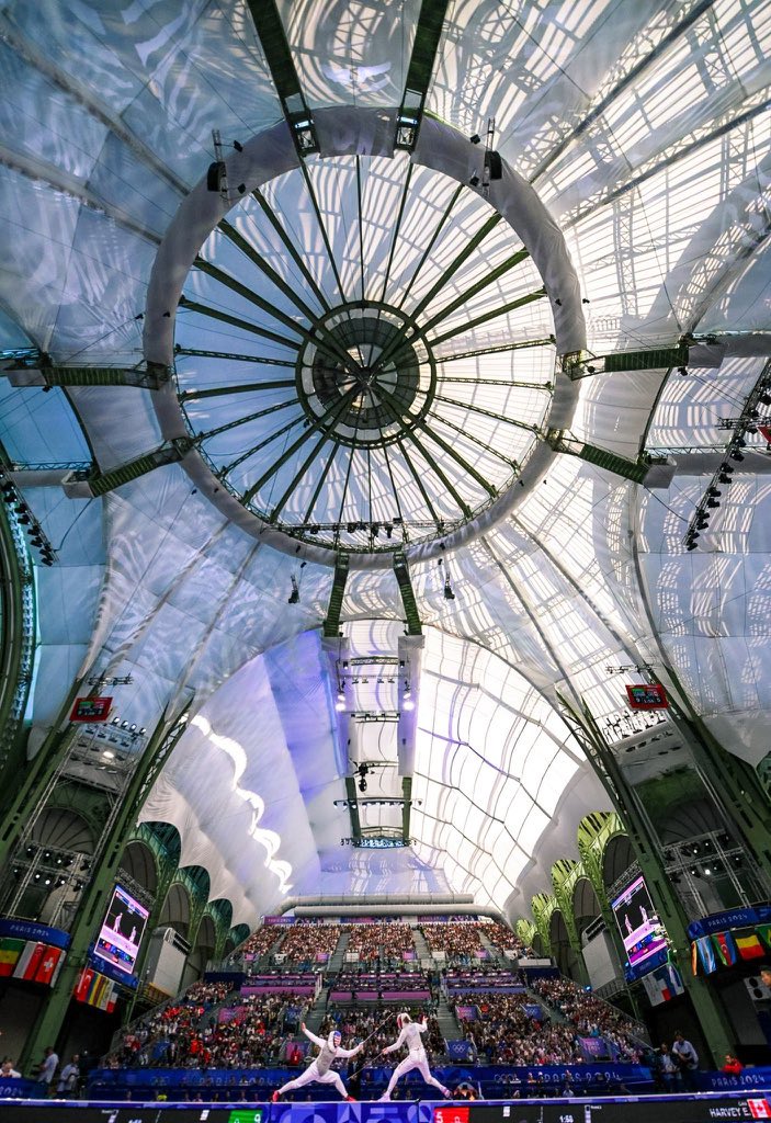 Les toitures m ont toujours fasciné. Ici la verrière du grand palais. On distingue un voile blanc, vraisemblablement pour limiter les apports solaires par cette paroi vitrée et donc la surchauffe du bâtiment.  <a href="/coolroof_fr/">Cool Roof France</a>