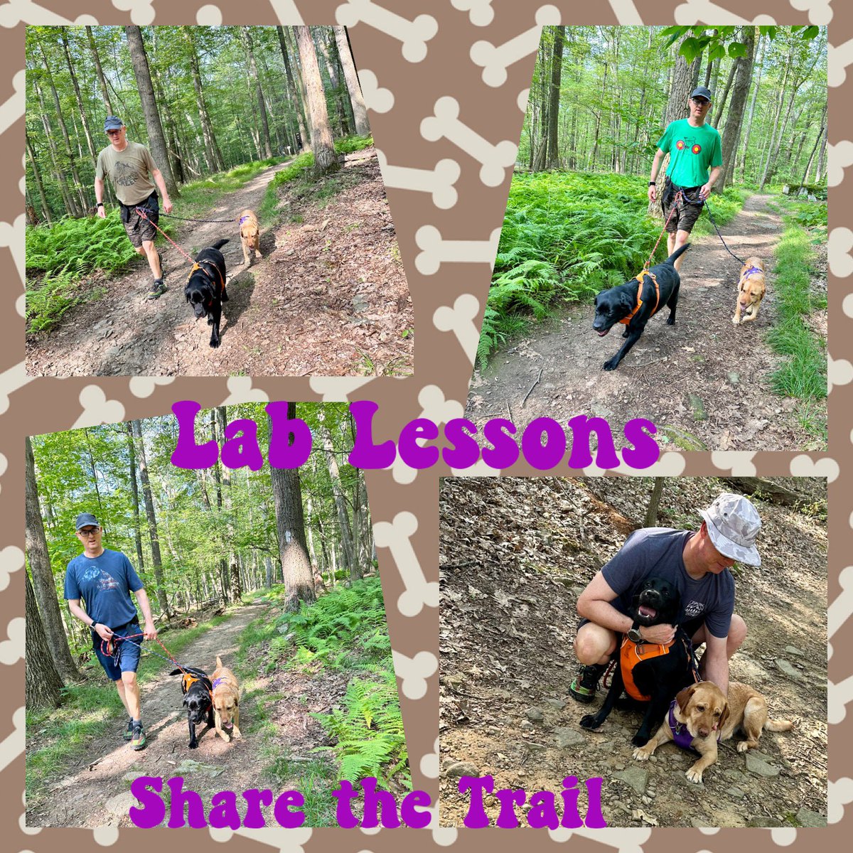 FitLabDeepCreek's tweet photo. #LabLesson from #FitLab #DeepCreek (link below): Be aware of your surroundings…and Share the Trail- #WiseWords from the #Labs

#Summer2024 #GetOutside #ShareTheTrail #TrailDogs #Maryland 

https://t.co/W8euKUrtBD https://t.co/7qvSHTNZIG
