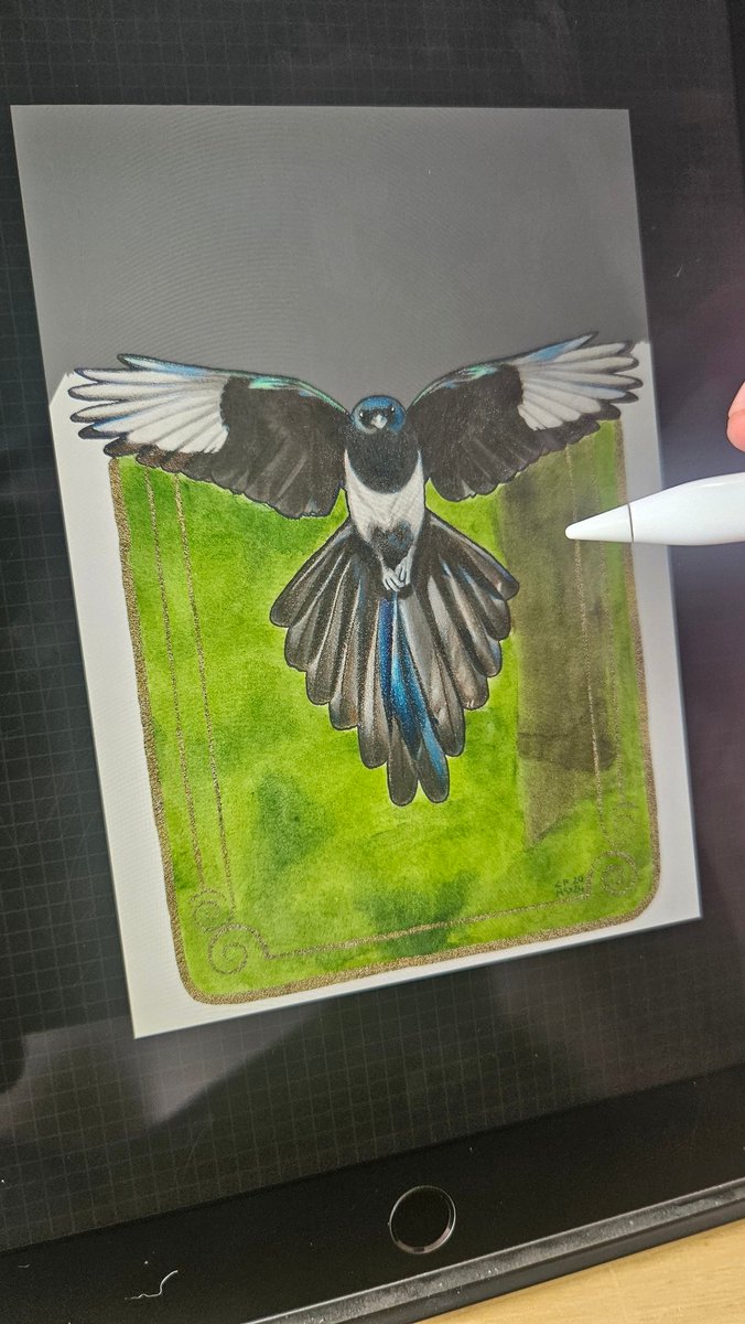 LychenChyld's tweet photo. Isolating the magpie from my recent Messenger illustration (which is currently en route to its new owner in the US) because I would love to make jewellery from him. I have already done this once, but that was before I boosted the colours and cleaned it up properly. Sigh. https://t.co/LklBzNJblE