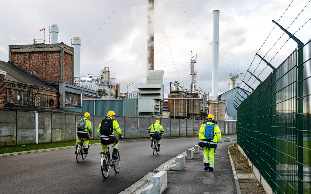 Tycho Van Hauwaert tweet media