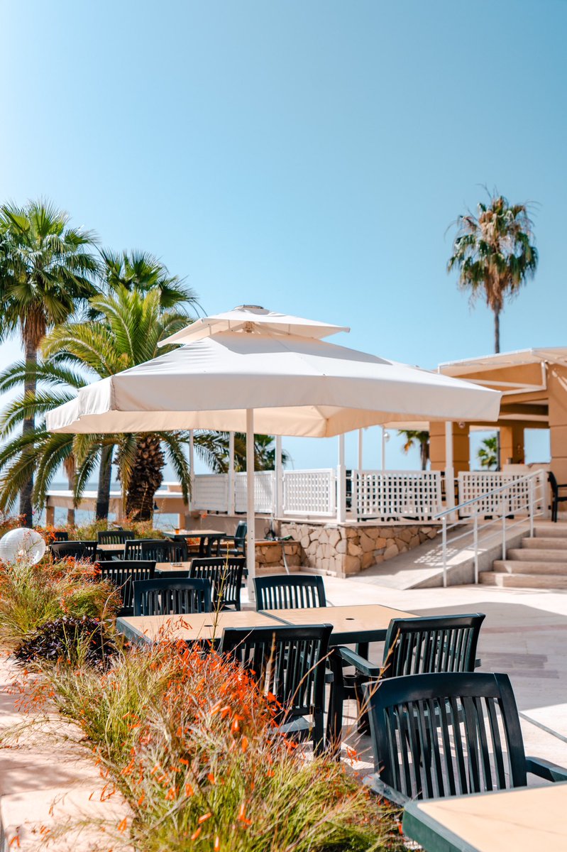 KilikyaHotels's tweet image. A short break against the Mediterranean in corners surrounded by rich vegetation...

Zengin bitki örtüsüyle çevrili köşelerde Akdeniz'e karşı kısa bir mola...
***
#TheEssenceofHarmony
#kilikyaresort
*
#break #mediterranean #vacationtime #holiday #seaside #feelbetter