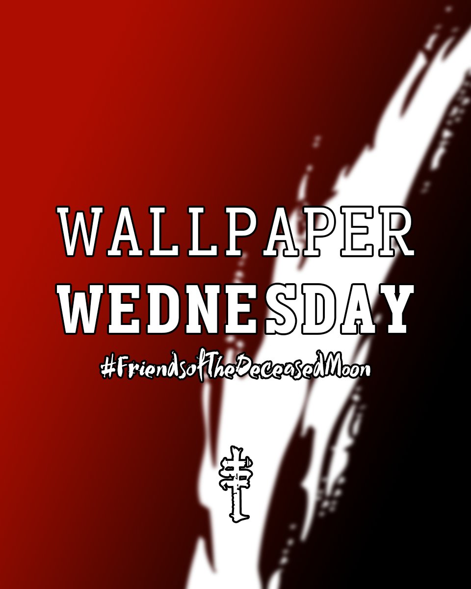 SSI Le Samurai Motorsport tweet media