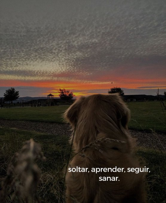 soltar, aprender, seguir y sanar