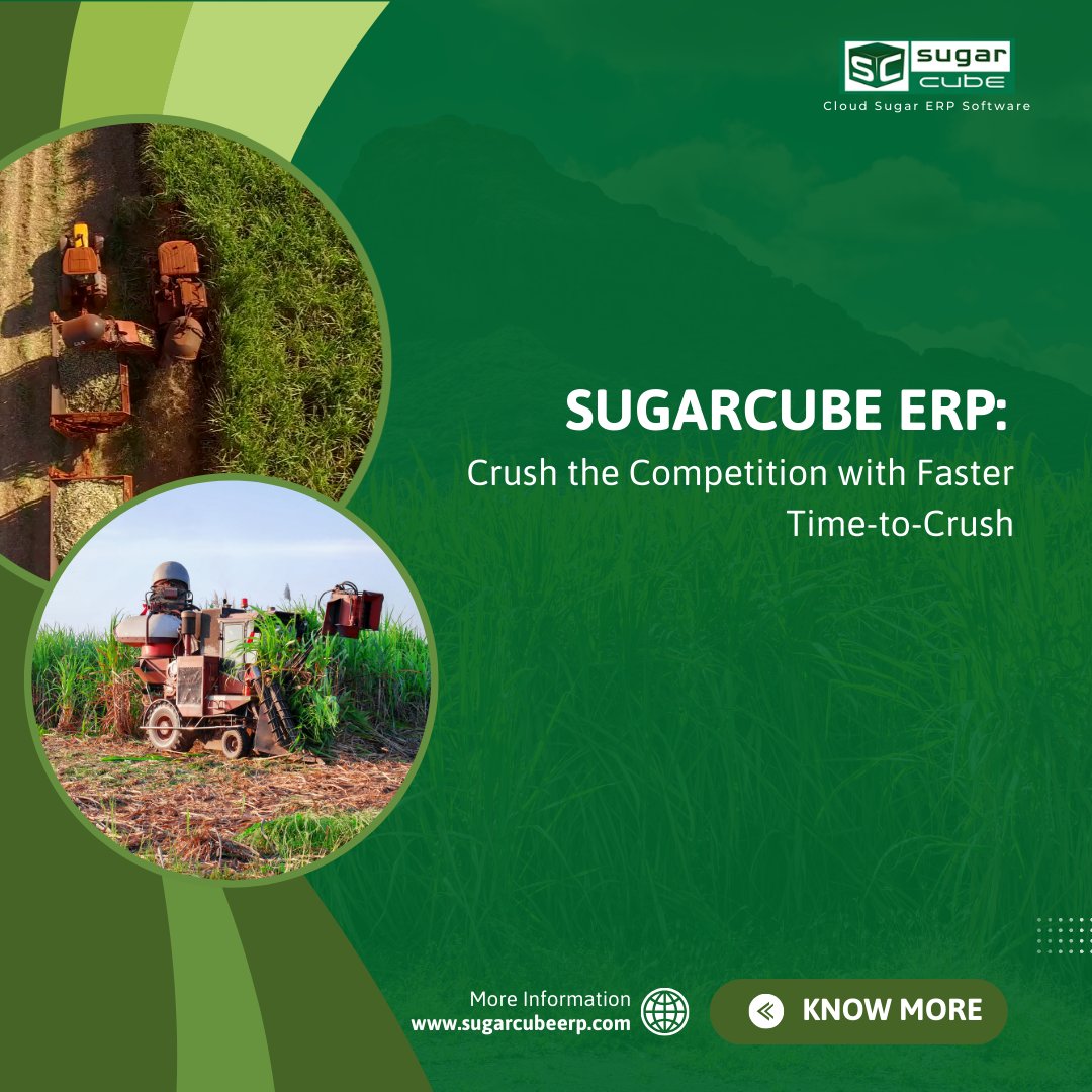 SugarERP's tweet image. Maximize sugar yield &amp;amp; minimize losses! SugarCube ERP shortens "cut-to-crush" time with logistics, real-time tracking &amp;amp; bypass systems. Boost profitability today! 
sugarcubeerp.com/blog/enhancing…

#SugarcaneFarming #SugarProcessing #ERP