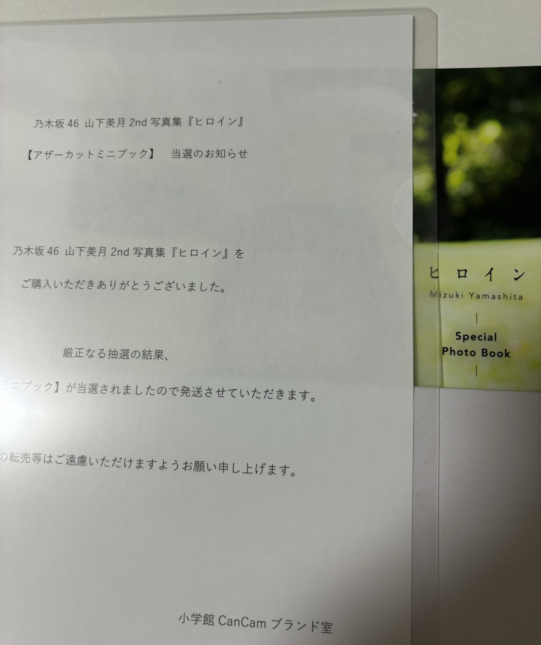 ちーずまる on X:  