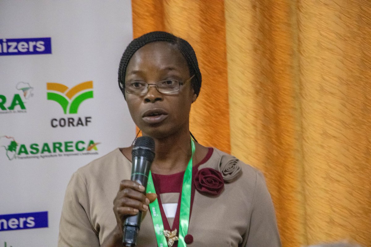 IITA_CGIAR's tweet photo. Exciting news! 🥳🥳🥳
Our Knowledge Management Team presented a draft of IITA's Knowledge Management Strategy at the #KM4AgD side event of the @FARAinfo Science and Partnerships for Agriculture conference #SPAC2024 happening in Kigali, #Rwanda! 
The team shared IITA's vision for a robust knowledge management system to drive agricultural innovation & impact in #Africa 
.
#ScienceForPartnership #Partnership #knowledgemanagement #IITAKMstrategy #WithScienceWeCan #agriculture
