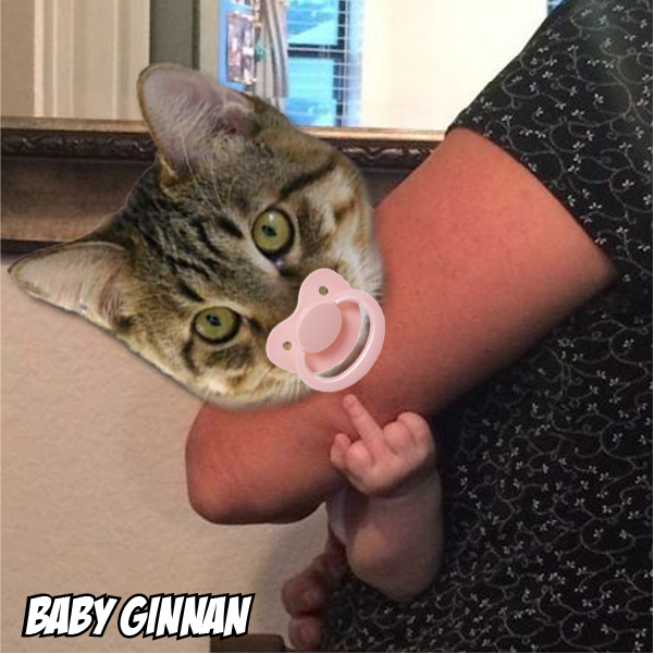 BabyGinnan's tweet photo. πBGINNAN: Why not try investing with a mischievous cat? Itβs not just investing; itβs non-stop entertainment!
ππππππΉ
#InvestWithFun #MemeCoinMadness
#BabyGinnan
#BGINNAN
#CryptoCats
#MemeCoin
πππππ https://t.co/k0JuF0vhVd