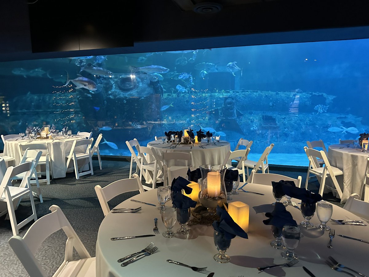 Fernando Arévalo (@mrfernandoa) on Twitter photo The Blue Economy Teacher Institute was GREAT!! Did you know that ports provide nearly $16.1 billion in economic impact and 88,200 jobs in NC? It’s crazy! Oh. And the dinner at the aquarium was amazing 🤩 I’m ready for day 2! <a href="/NCEastAlliance/">NCEast Alliance</a> <a href="/CarteretCC/">Carteret CC</a> #STEM #Science #teacher #NC The Blue Economy Teacher Institute was GREAT!! Did you know that ports provide nearly $16.1 billion in economic impact and 88,200 jobs in NC? It’s crazy! Oh. And the dinner at the aquarium was amazing 🤩 I’m ready for day 2! <a href="/NCEastAlliance/">NCEast Alliance</a> <a href="/CarteretCC/">Carteret CC</a> #STEM #Science #teacher #NC