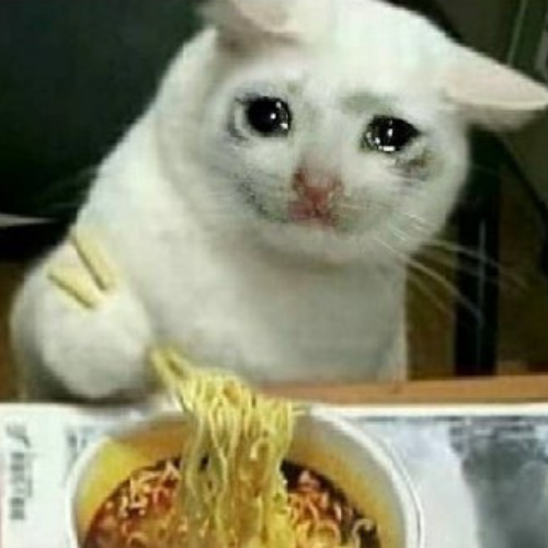 oodles 🍜 tweet media