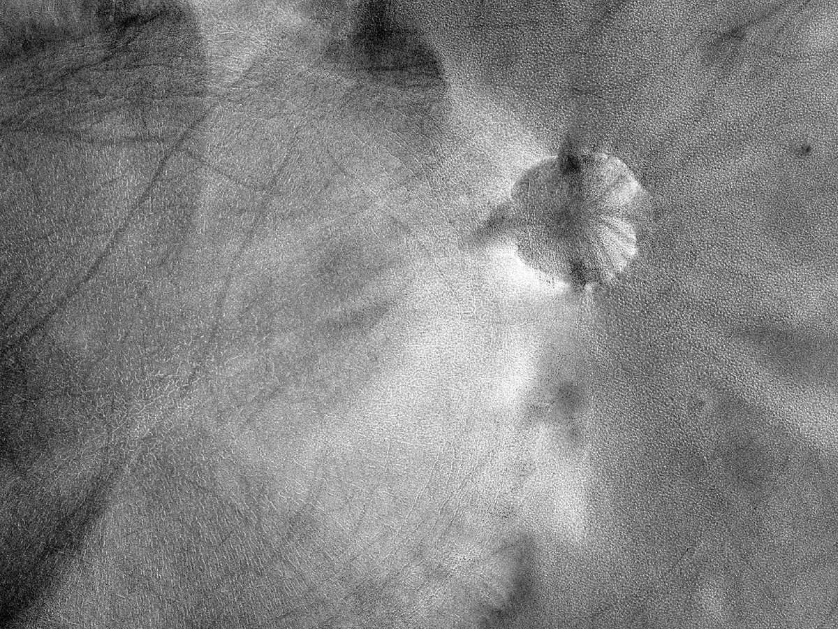 HiRISEDeutsch's tweet image. Großer Krater, kleiner Krater

Nummer: ESP_036331_2420
Erfassungsdatum: 27. April 2014
Distanz: 312 km

uahirise.org/hipod/de/ESP_0…
NASA/JPL-Caltech/University of Arizona
#Mars #NASA #Deutsch #German #Wissenschaft