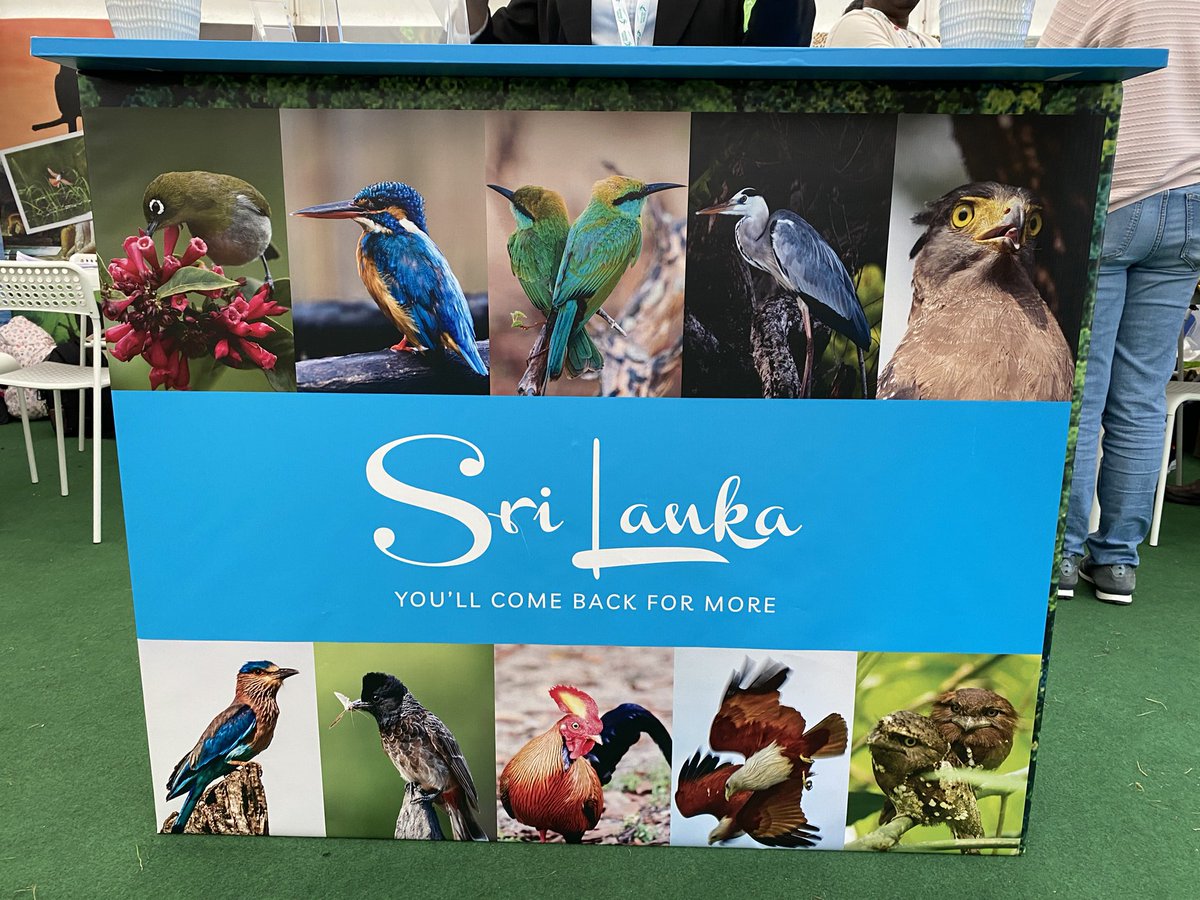 Gehan de Silva W (@gehan_de_silva) on Twitter photo Thank you John Beaufoy Publishing for supporting efforts to promote Sri Lanka’s wildlife tourism industry.
#srilanka#wildsrilanka @jetwingecoholidays @jetwinghotels <a href="/JB_Publishing/">John Beaufoy Publishing</a> #globalbirdfair #jetwinghotels #jetwingecoholidays #visitsrilanka #srilanka #wildlifetourism Thank you John Beaufoy Publishing for supporting efforts to promote Sri Lanka’s wildlife tourism industry.
#srilanka#wildsrilanka @jetwingecoholidays @jetwinghotels <a href="/JB_Publishing/">John Beaufoy Publishing</a> #globalbirdfair #jetwinghotels #jetwingecoholidays #visitsrilanka #srilanka #wildlifetourism