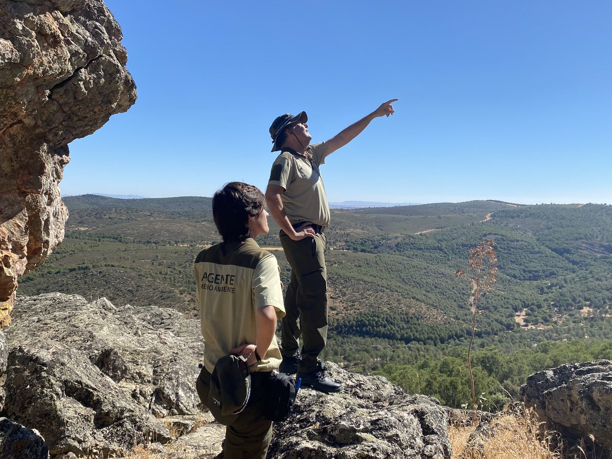 Feliz #WorldRangerDay a los <a href="/AAMM_And/">Agentes Medioambientales de Andalucía</a> y <a href="/ACEFOA/">ACEFOA</a> de <a href="/MedioAmbAND/">Consejería de Sostenibilidad y Medio Ambiente</a> 
Encomiable labor para cuidar y proteger el patrimonio natural de Andalucía.
Abrazo Rangers!!!