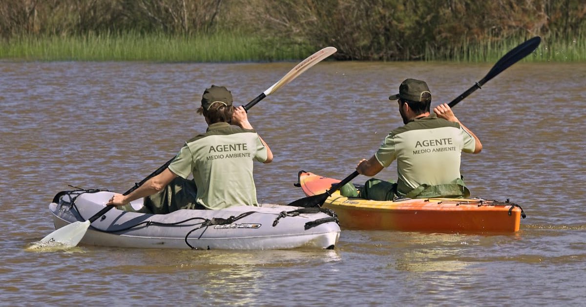 Giuseppe Aloisio tweet media