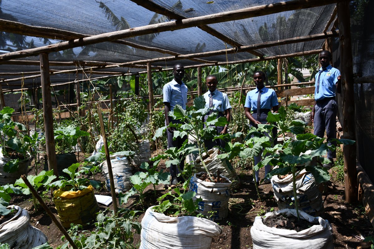 VVOBinUganda's tweet image. We are excited to share the impact of the CPD training by LEAP! Naigaga and Kijaguzo Willino from Mubende Army S. S. have integrated project-based learning into the curriculum, leading to amazing student initiatives! 🌟 #EducationTransformation #LEAPTraining