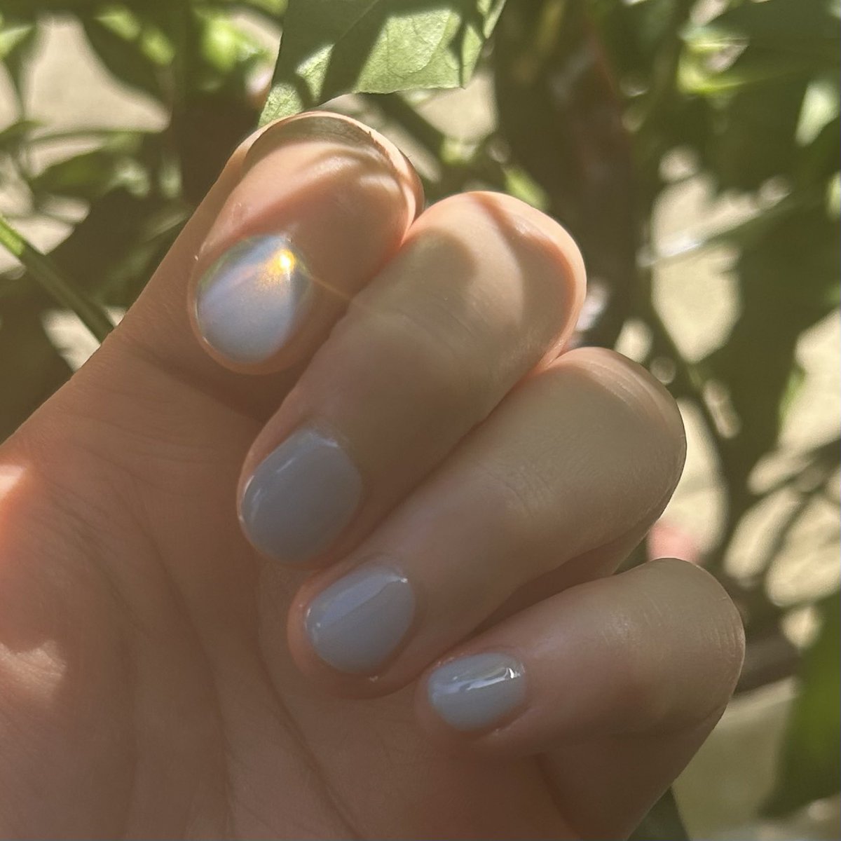 ⁝ ⊹     ⁝
         ✧ ⋆     .
˚✦
7월 일상블로그 업뎃 ꔛ 𖤐
。
。m.blog.naver.com/noybkdy/223531…