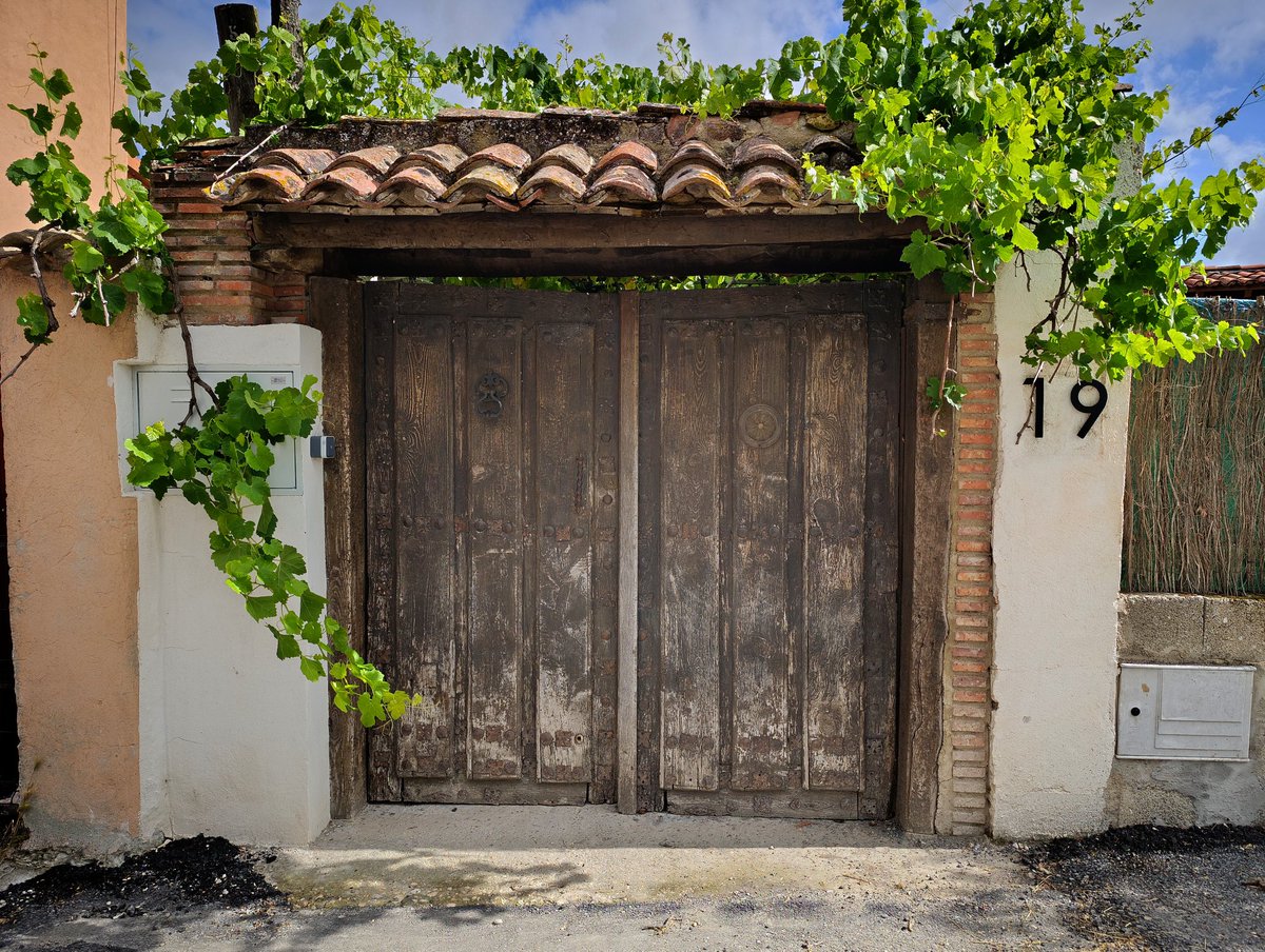 Erik Salazar tweet media