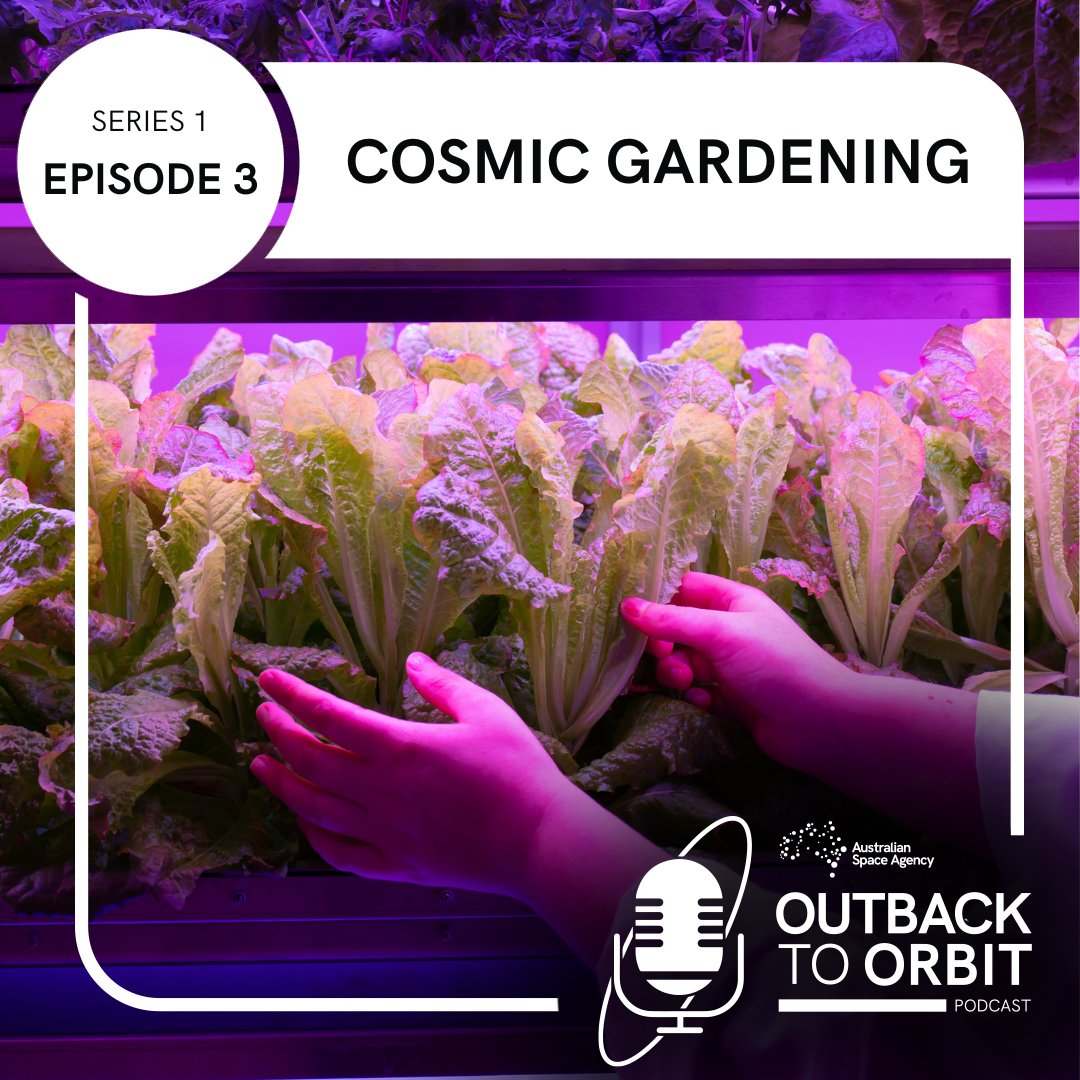 Australian Space Agency (@ausspaceagency) on Twitter photo 🌳 Episode 3 of our Outback To Orbit podcast features Professor Matthew Gilliham (<a href="/plants4space/">@Plants4Space</a>) and Lauren Fell (Lunaria One) on growing plants in space, and a trip through the exhibition hall at the 17th <a href="/AndyThomasSpace/">The Andy Thomas Space Foundation</a> Australian Space Forum.
Listen🔊 tinyurl.com/O2OS1E3Podbean 🌳 Episode 3 of our Outback To Orbit podcast features Professor Matthew Gilliham (<a href="/plants4space/">@Plants4Space</a>) and Lauren Fell (Lunaria One) on growing plants in space, and a trip through the exhibition hall at the 17th <a href="/AndyThomasSpace/">The Andy Thomas Space Foundation</a> Australian Space Forum.
Listen🔊 tinyurl.com/O2OS1E3Podbean